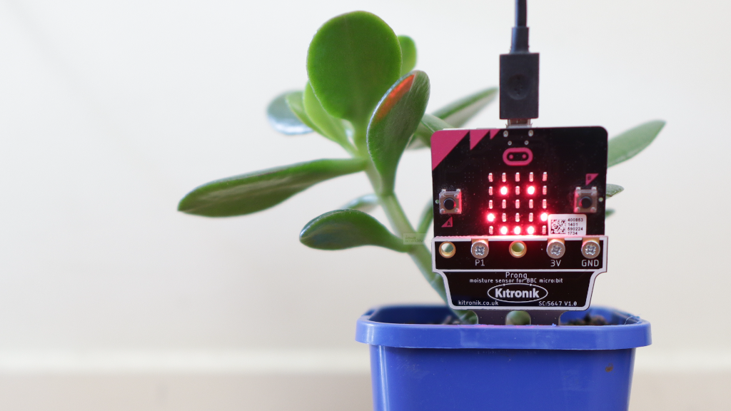 Use Python to calibrate your Kitronik Prong Moisture Sensor